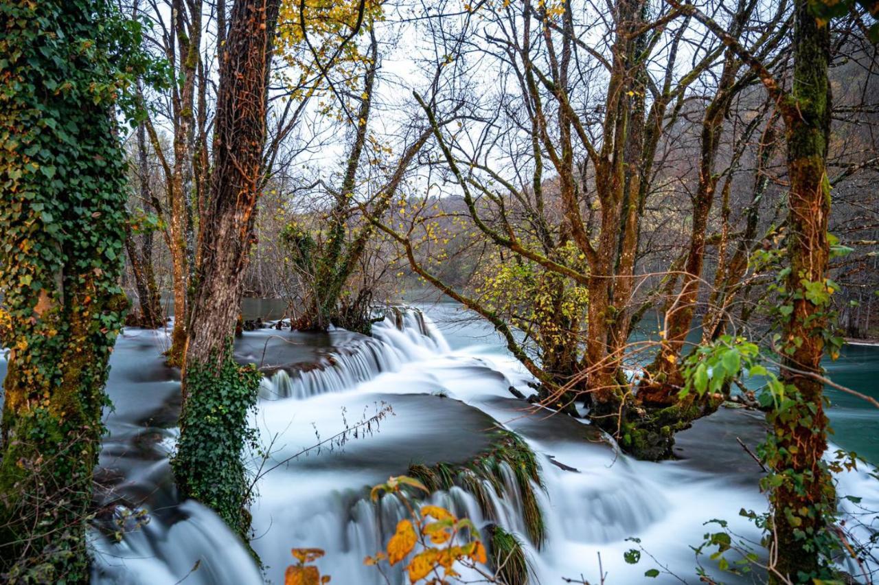 Ecotourism Mreznica Villa Eksteriør bilde